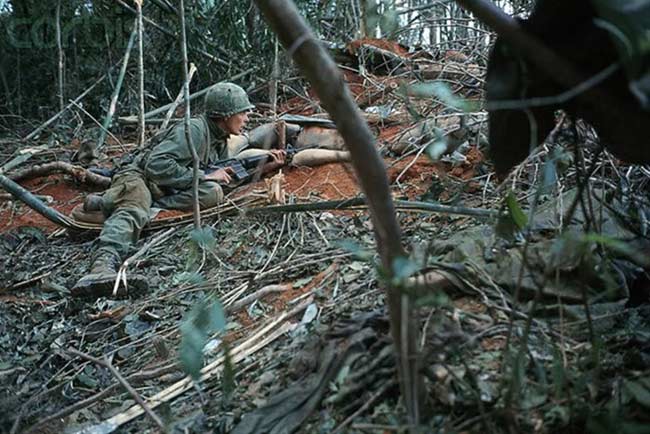 越战中的暴行:当众剥光姑娘 烤吃人肉-读书频道-和讯网
