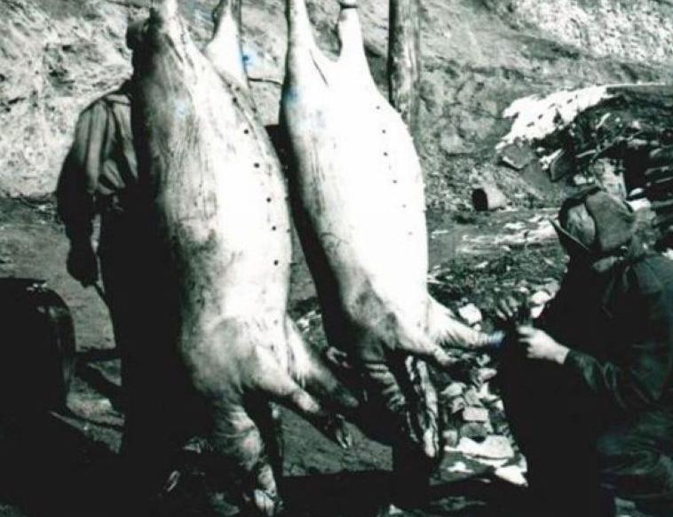 艰苦的志愿军生活与美军战俘幸福生活对比