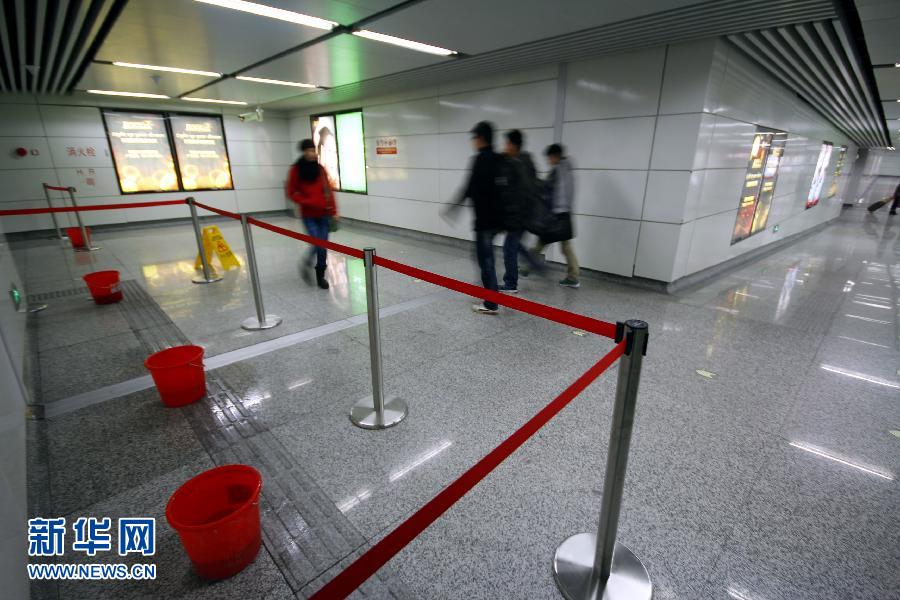 搬家两猫跳井自尽图片