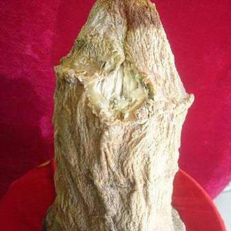 组图:泉州南安村民溪边捡到疑似 太岁 物体 细腻