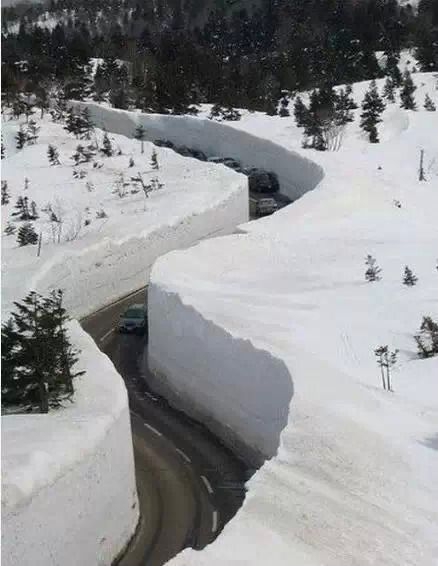 眼睫毛上挂冰碴!俄罗斯到底有多冷!